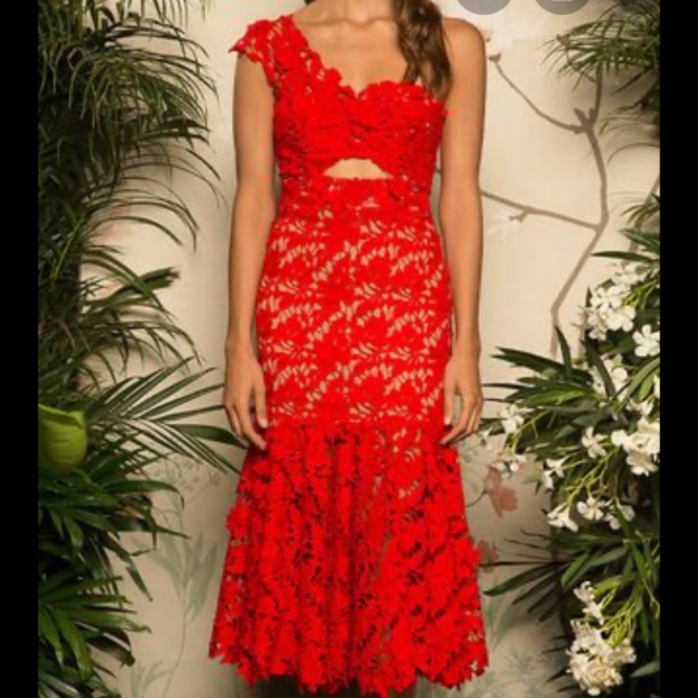 Johanna Ortiz lace dress